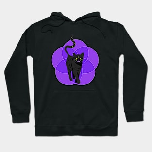 Hex Cat Hoodie